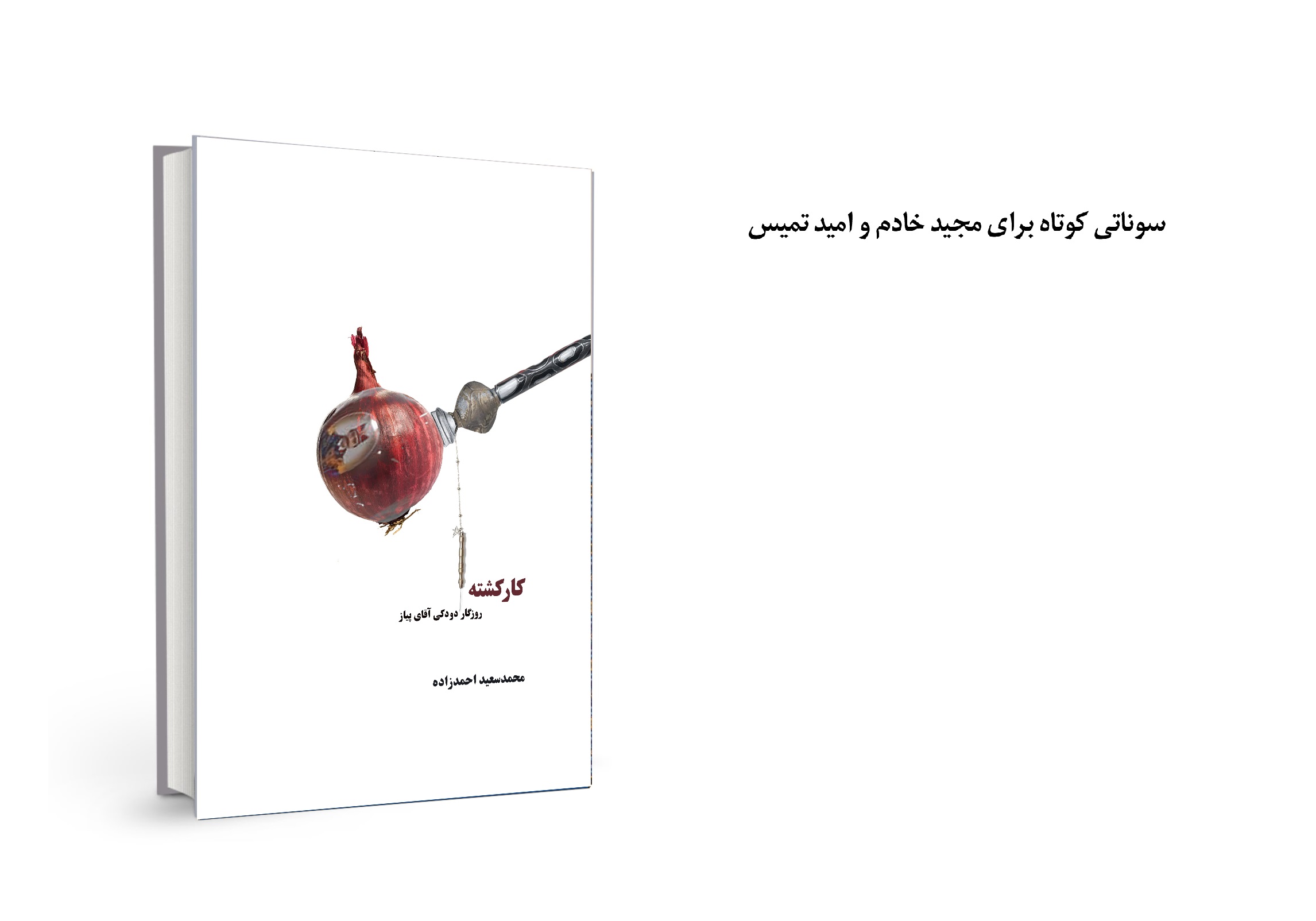 کتاب رمان «کارکشته - روزگار دودکیِ آقای پیاز»